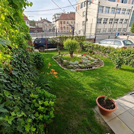 Transsylvanian Wolves Apartment Sibiu Bagian luar foto