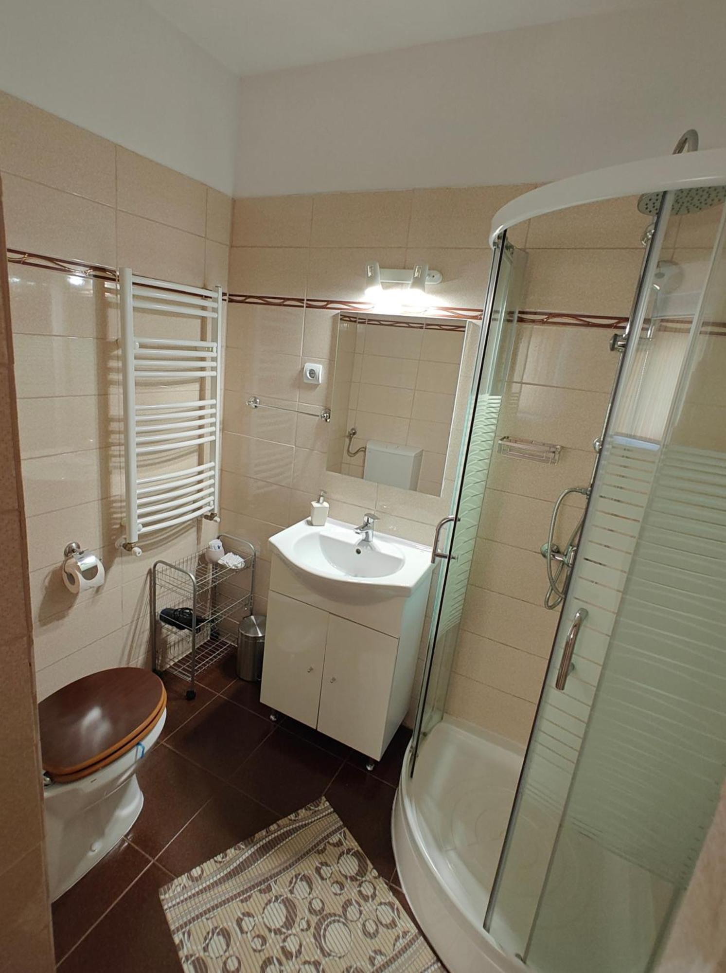 Transsylvanian Wolves Apartment Sibiu Bagian luar foto